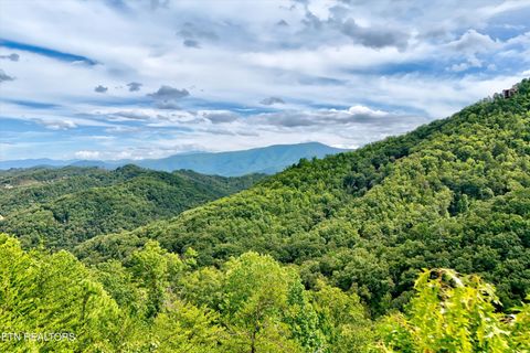 Tiny photo for 2743 Overholt Tr, Sevierville, TN 37876 (MLS # 1317287)