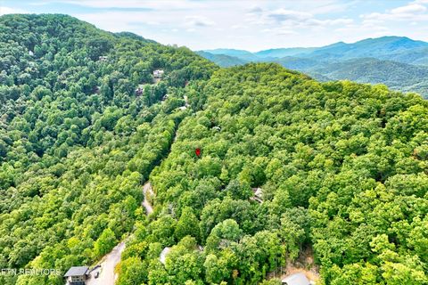 Tiny photo for 2743 Overholt Tr, Sevierville, TN 37876 (MLS # 1317287)