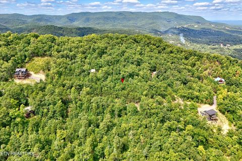 Tiny photo for 2743 Overholt Tr, Sevierville, TN 37876 (MLS # 1317287)