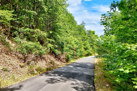 Tiny photo for 2743 Overholt Tr, Sevierville, TN 37876 (MLS # 1317287)
