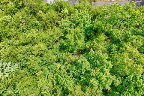 Tiny photo for 2743 Overholt Tr, Sevierville, TN 37876 (MLS # 1317287)