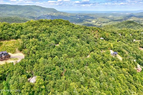 Tiny photo for 2743 Overholt Tr, Sevierville, TN 37876 (MLS # 1317287)