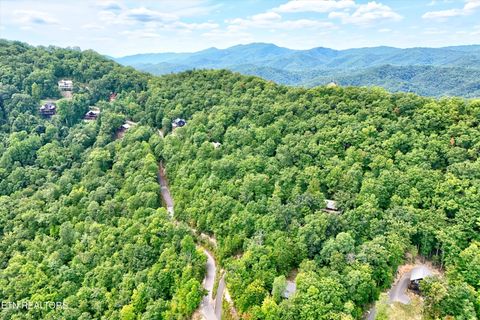 Tiny photo for 2743 Overholt Tr, Sevierville, TN 37876 (MLS # 1317287)