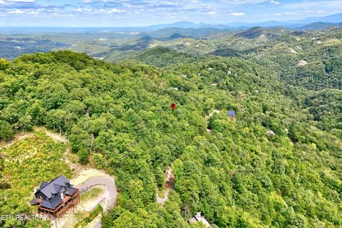 Tiny photo for 2743 Overholt Tr, Sevierville, TN 37876 (MLS # 1317287)
