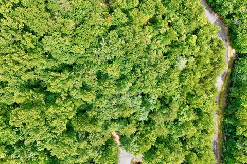 Tiny photo for 2743 Overholt Tr, Sevierville, TN 37876 (MLS # 1317287)