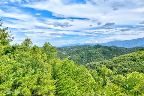 Tiny photo for 2743 Overholt Tr, Sevierville, TN 37876 (MLS # 1317287)