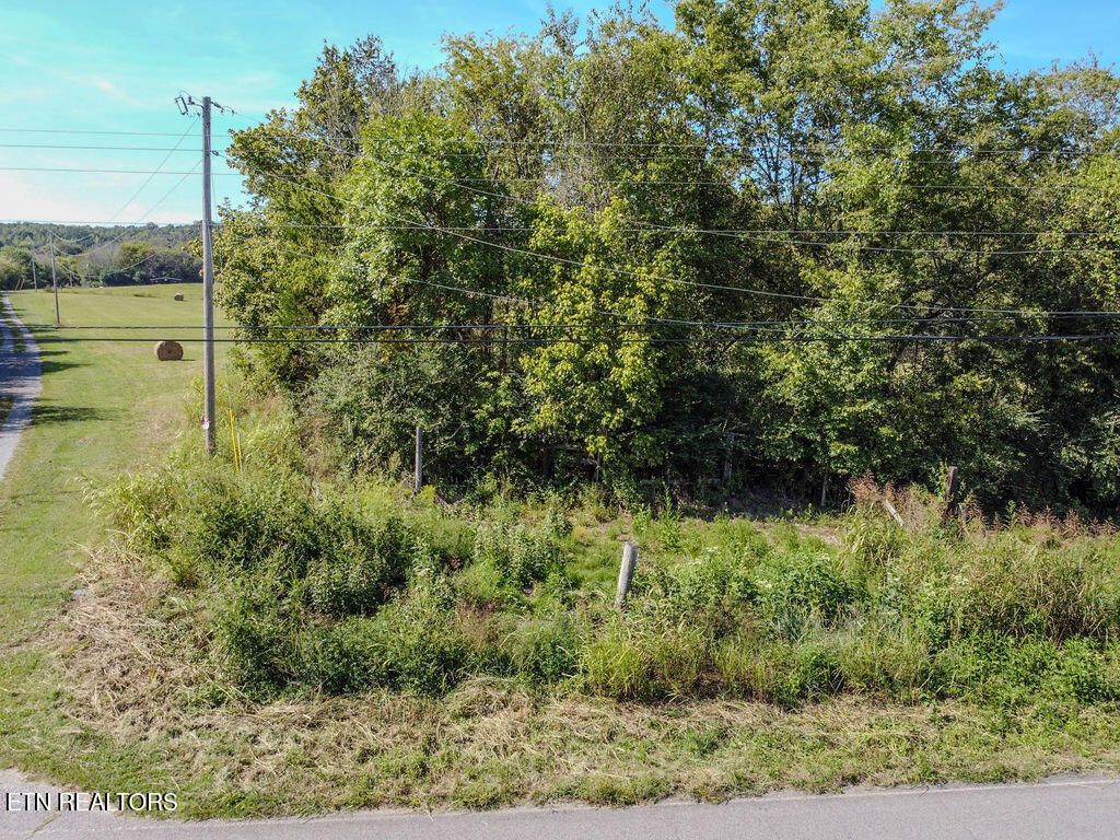 Photo of 3 Goodfield Road, Decatur, TN 37322 (MLS # 1314845)