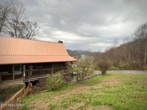Photo of 191 Hudson Lane, Clinton, TN 37716 (MLS # 1324189)