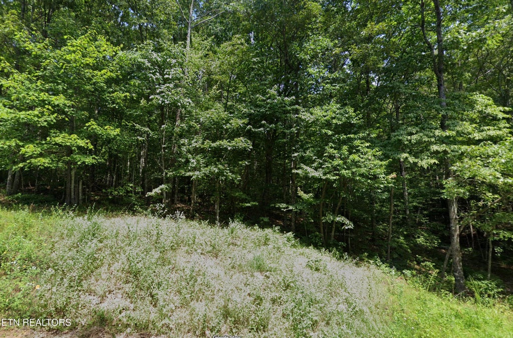Photo of 18 Calderwood Circle, Crossville, TN 38558 (MLS # 1353366)