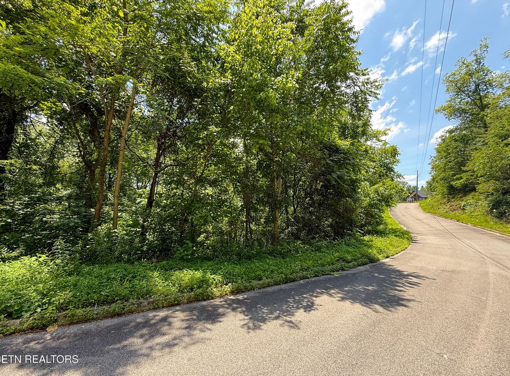 Photo of 55 Oak Lake Drive, Sevierville, TN 37876 (MLS # 1307931)