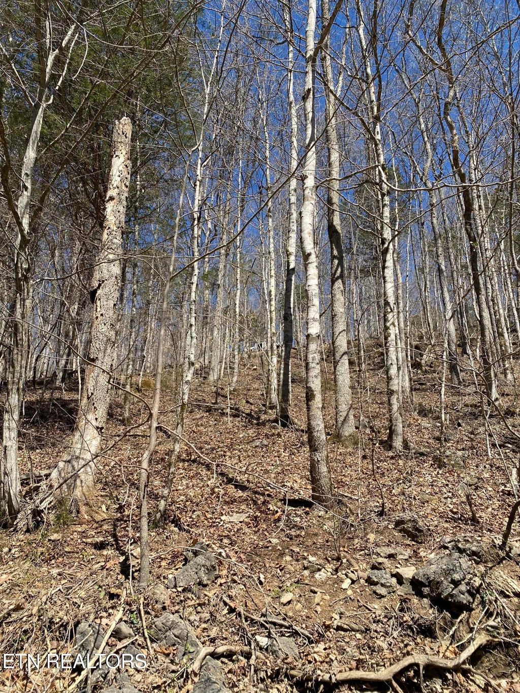 Photo of River Ridge Road Tract 2, Maynardville, TN 37807 (MLS # 1294366)