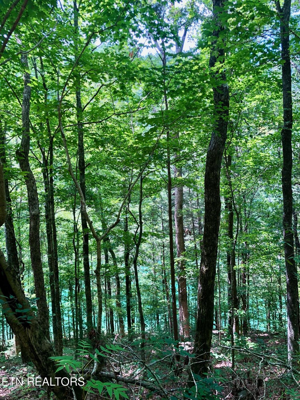 Photo of River Ridge Road Tract 2, Maynardville, TN 37807 (MLS # 1294366)