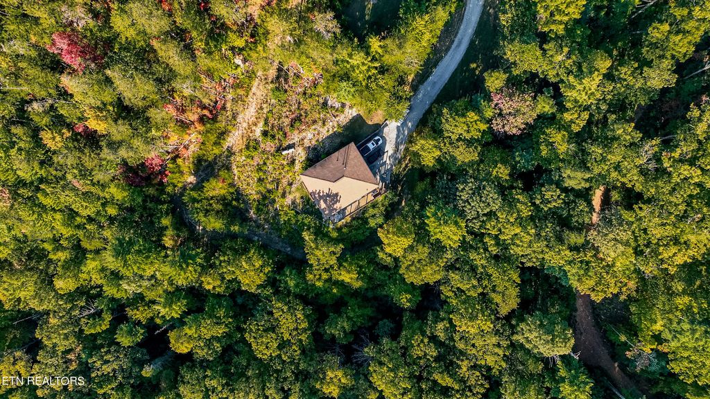Photo of 1036 Old Bald River Rd, Tellico Plains, TN 37385 (MLS # 1242388)