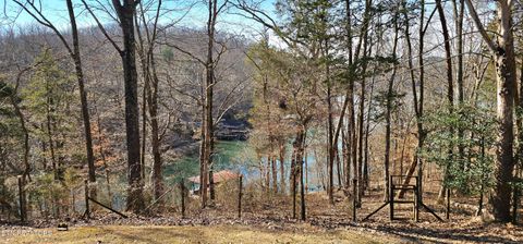 Tiny photo for 102 Curtis Circle, Kingston, TN 37763 (MLS # 1329612)