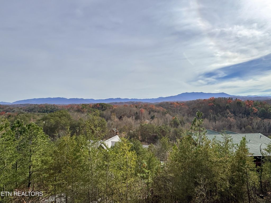 Photo of 1843 Wild Briar Tr, Sevierville, TN 37876 (MLS # 1322982)