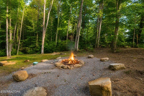 Tiny photo for 2215 Cub Circle, Sevierville, TN 37862 (MLS # 1345706)
