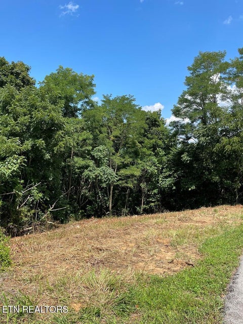 Tiny photo for 57 Goose Rd, Hilham, TN 38568 (MLS # 1356267)