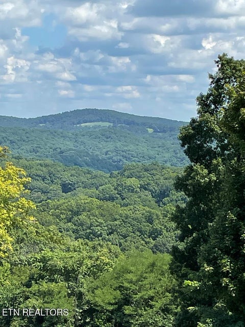 Tiny photo for 57 Goose Rd, Hilham, TN 38568 (MLS # 1356267)