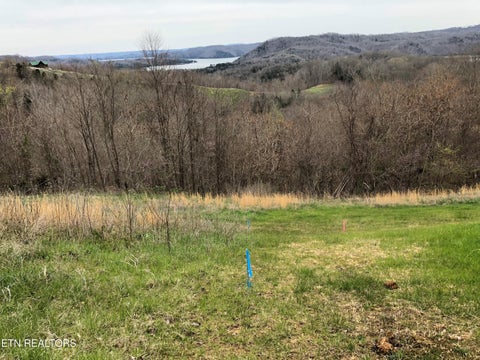 Tiny photo for 57 Goose Rd, Hilham, TN 38568 (MLS # 1356267)