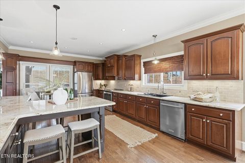 Tiny photo for 302 Key Cove Rd, Spring City, TN 37381 (MLS # 1334573)