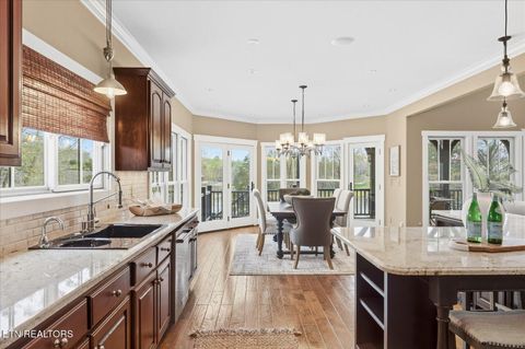 Tiny photo for 302 Key Cove Rd, Spring City, TN 37381 (MLS # 1334573)