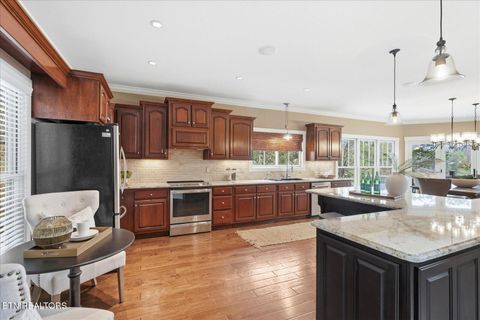 Tiny photo for 302 Key Cove Rd, Spring City, TN 37381 (MLS # 1334573)