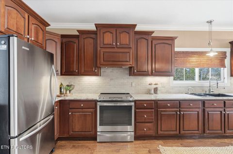 Tiny photo for 302 Key Cove Rd, Spring City, TN 37381 (MLS # 1334573)