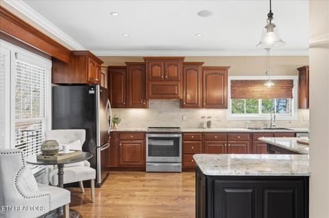 Tiny photo for 302 Key Cove Rd, Spring City, TN 37381 (MLS # 1334573)