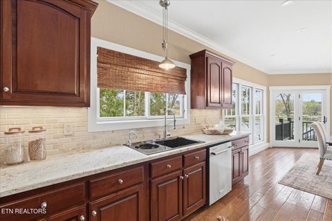 Tiny photo for 302 Key Cove Rd, Spring City, TN 37381 (MLS # 1334573)