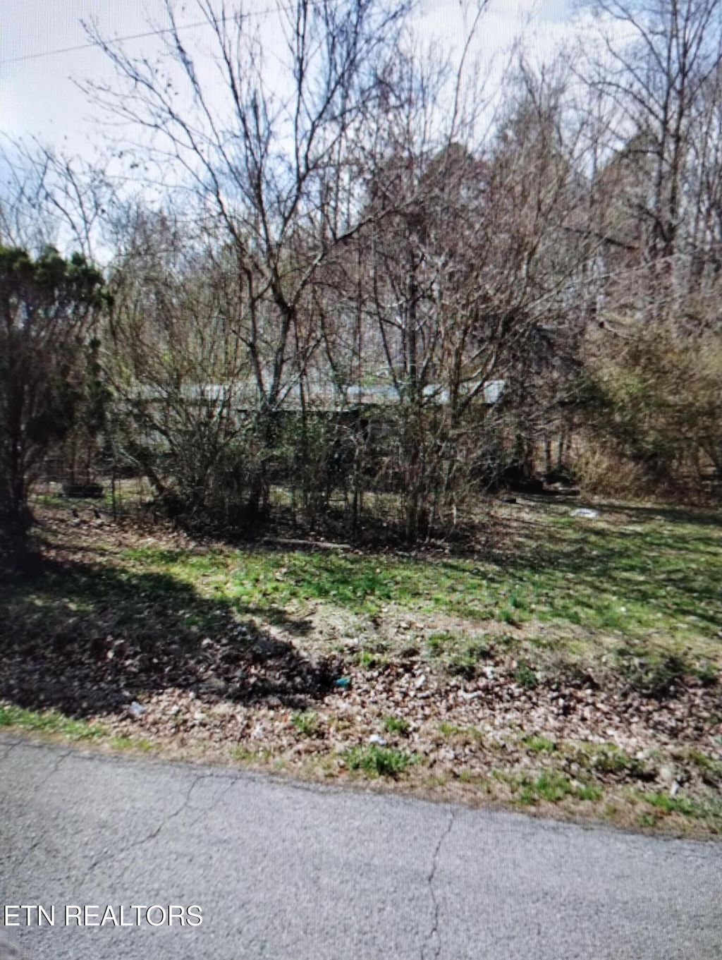 Photo of 16168 Blue Springs Rd, Philadelphia, TN 37846 (MLS # 1303098)