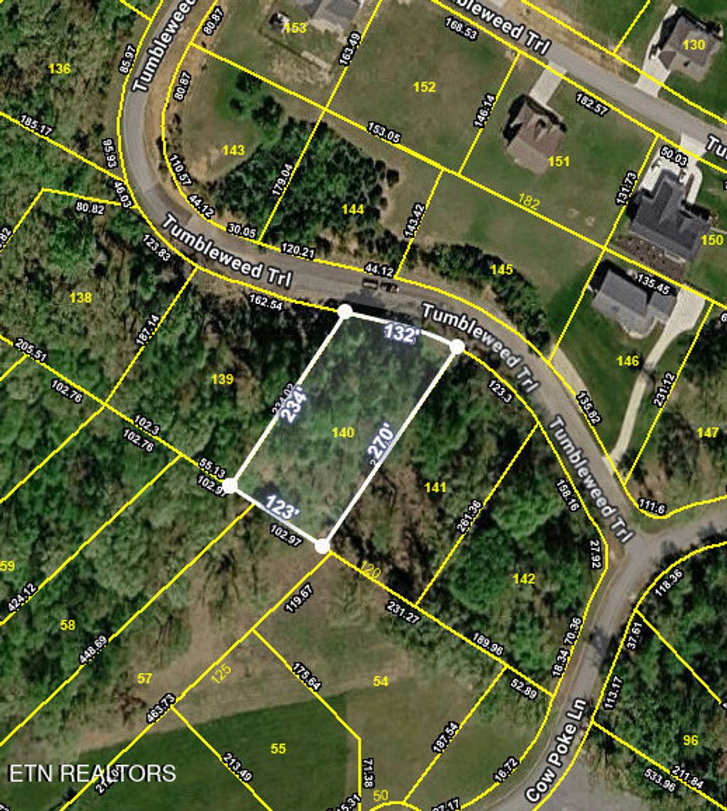 Photo of 140 Tumbleweed Tr, Rutledge, TN 37861 (MLS # 1336447)