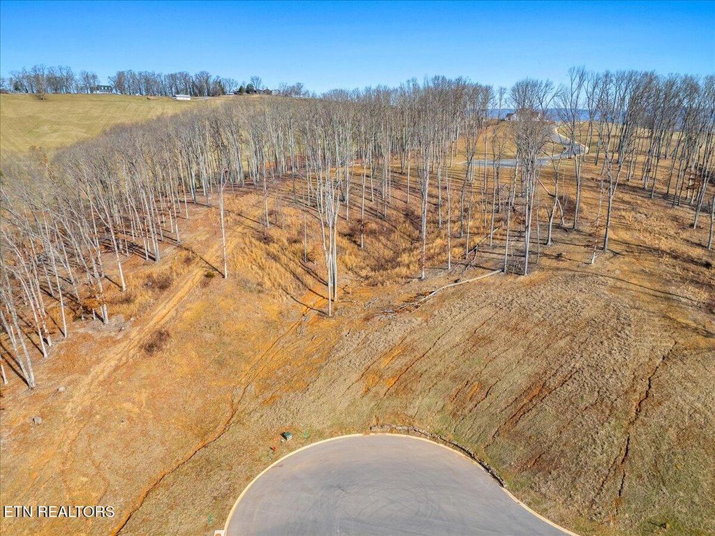 Photo of Inlet Cv, Morristown, TN 37814 (MLS # 1287620)