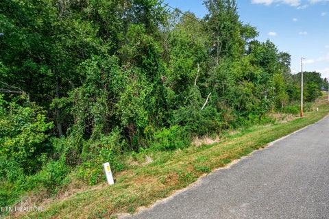 Tiny photo for 52 Hidden River Ave, Sparta, TN 38583 (MLS # 1355646)