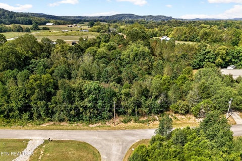 Tiny photo for 52 Hidden River Ave, Sparta, TN 38583 (MLS # 1355646)