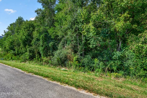 Tiny photo for 52 Hidden River Ave, Sparta, TN 38583 (MLS # 1355646)