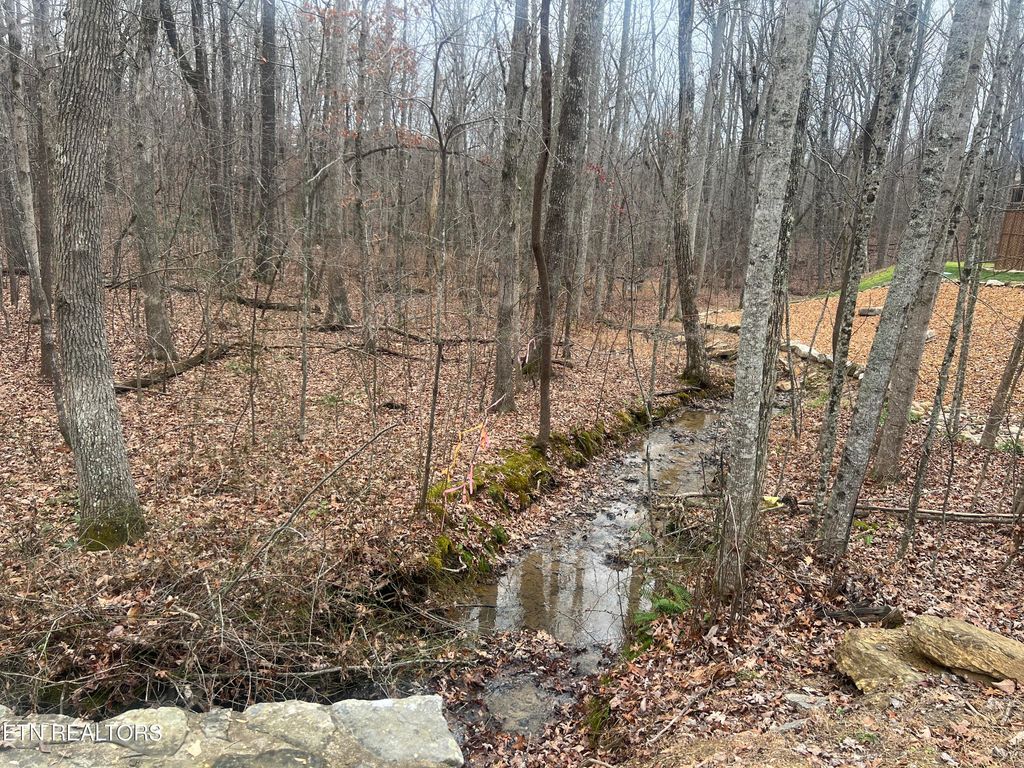 Photo of 49 Kingsbury Circle, Fairfield Glade, TN 38558 (MLS # 1323945)