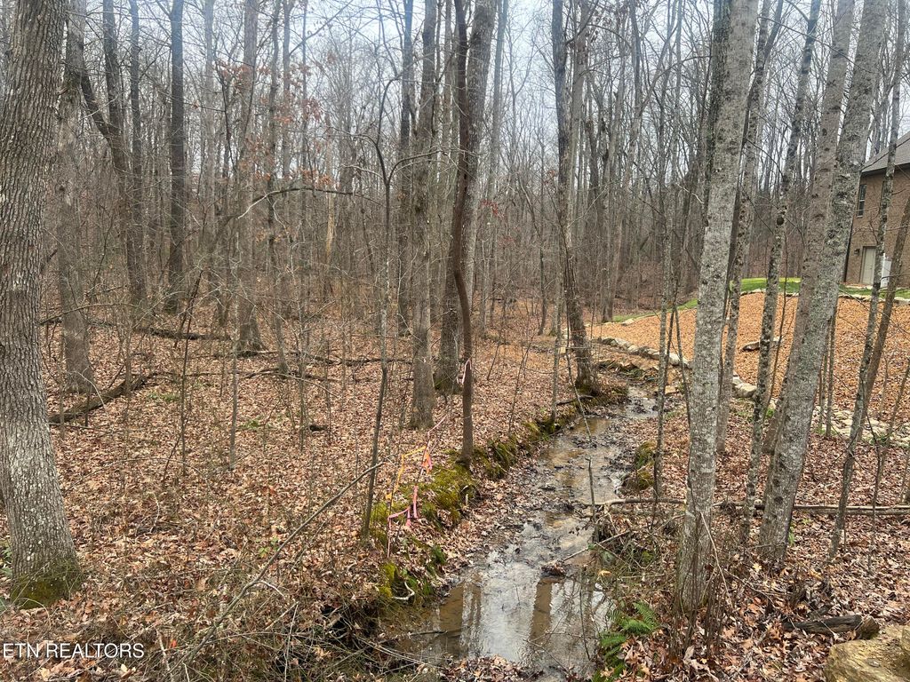 Photo of 49 Kingsbury Circle, Fairfield Glade, TN 38558 (MLS # 1323945)