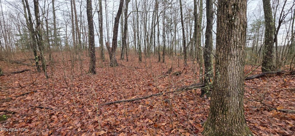 Photo of 772 Eastridge Pass, Monterey, TN 38574 (MLS # 1327161)