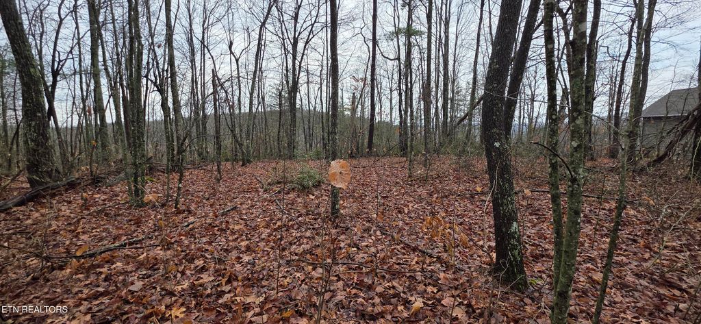 Photo of 772 Eastridge Pass, Monterey, TN 38574 (MLS # 1327161)