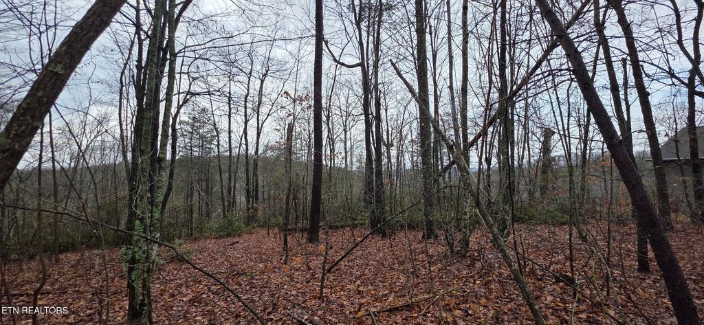 Photo of 772 Eastridge Pass, Monterey, TN 38574 (MLS # 1327161)