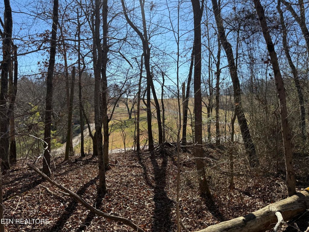 Photo of 0 CATES Rd, Rockwood, TN 37854 (MLS # 1325393)