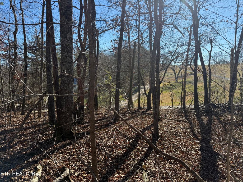 Photo of 0 CATES Rd, Rockwood, TN 37854 (MLS # 1325393)
