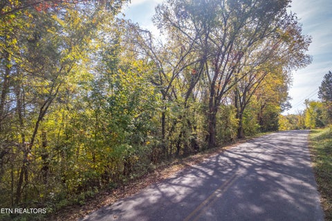 Tiny photo for 24 Buck Horn Rd, Sevierville, TN 37876 (MLS # 1360162)
