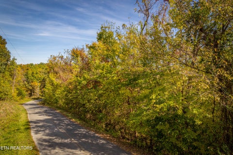 Tiny photo for 24 Buck Horn Rd, Sevierville, TN 37876 (MLS # 1360162)