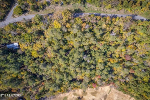 Tiny photo for 24 Buck Horn Rd, Sevierville, TN 37876 (MLS # 1360162)