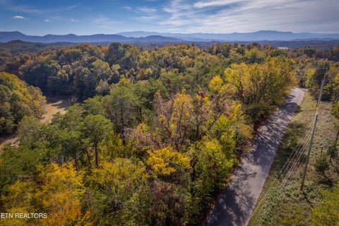 Tiny photo for 24 Buck Horn Rd, Sevierville, TN 37876 (MLS # 1360162)