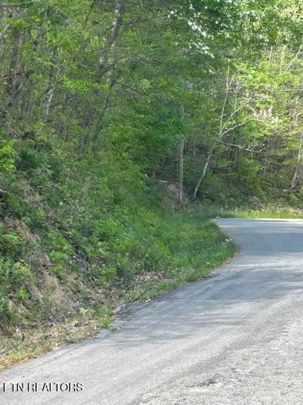 Photo of Lot 537 Whistle Valley Rd, New Tazewell, TN 37825 (MLS # 1338309)