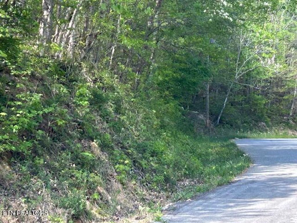 Photo of Lot 537 Whistle Valley Rd, New Tazewell, TN 37825 (MLS # 1338309)