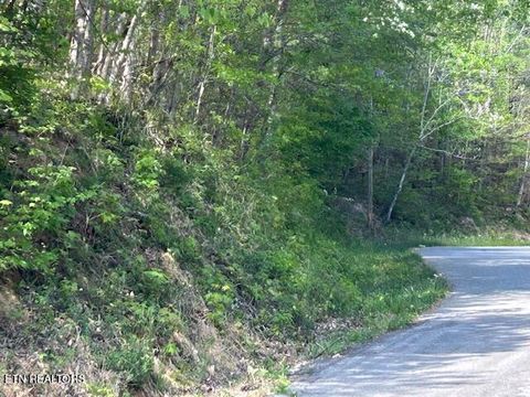 Photo of Lot 537 Whistle Valley Rd, New Tazewell, TN 37825 (MLS # 1338309)