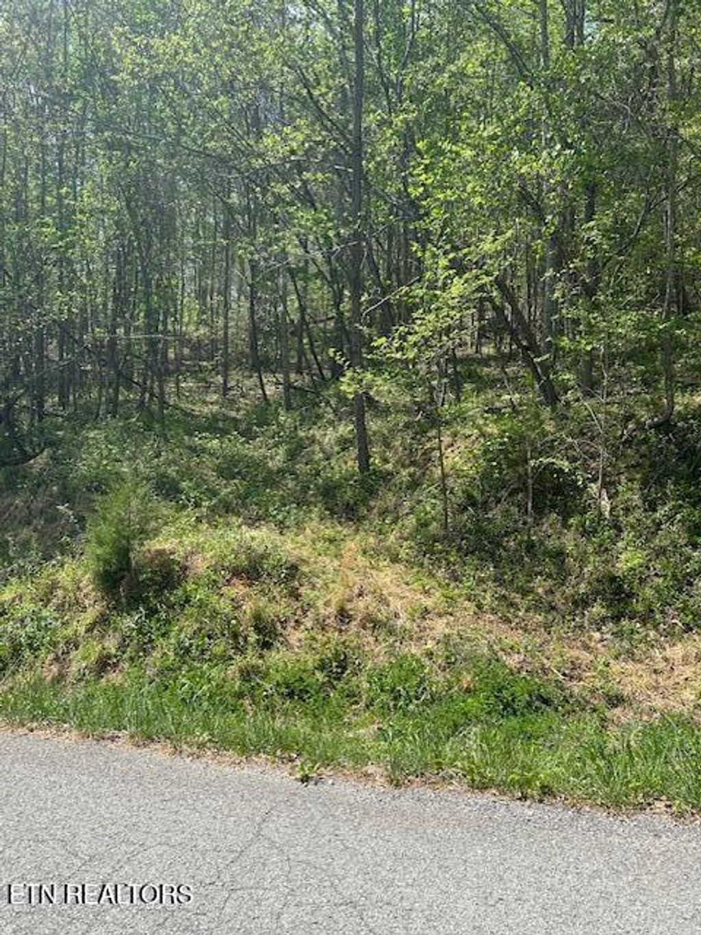 Photo of Lot 537 Whistle Valley Rd, New Tazewell, TN 37825 (MLS # 1338309)
